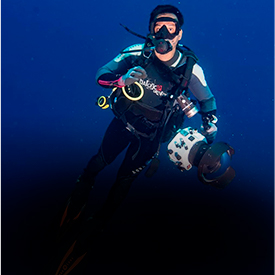 Underwater Filming copy